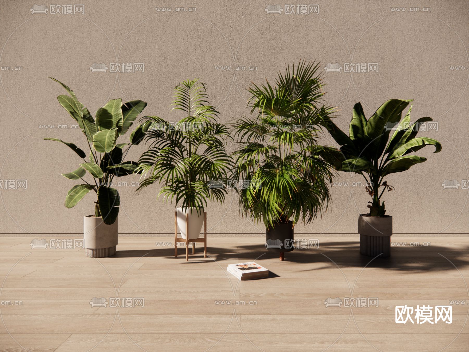 现代绿植 盆栽su模型下载（渲染图2）