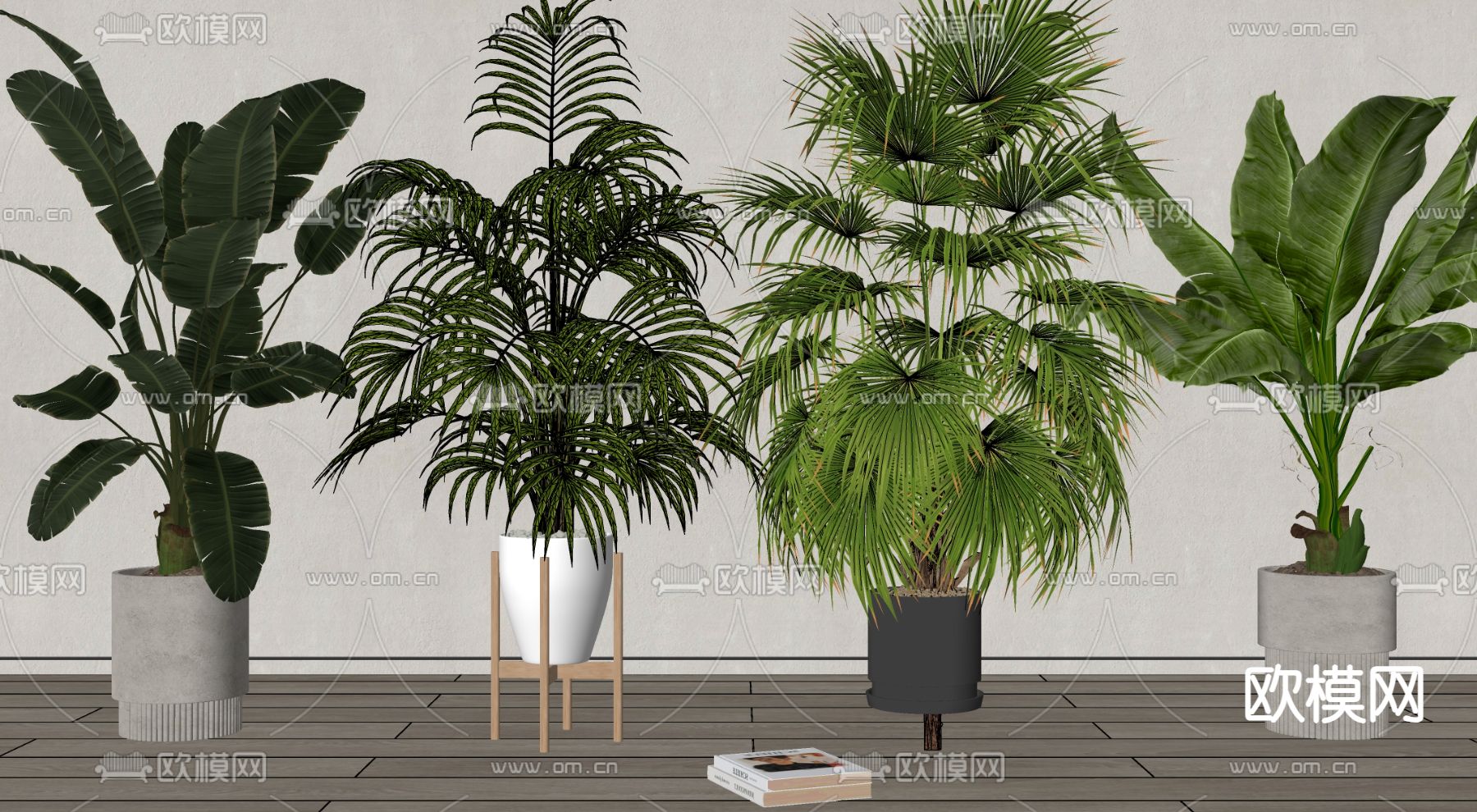 现代绿植 盆栽su模型下载（渲染图1）