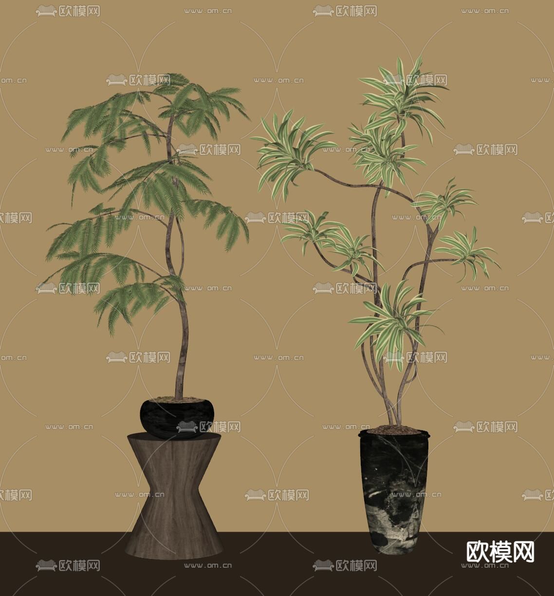 中古风绿植 盆栽su模型下载（渲染图1）