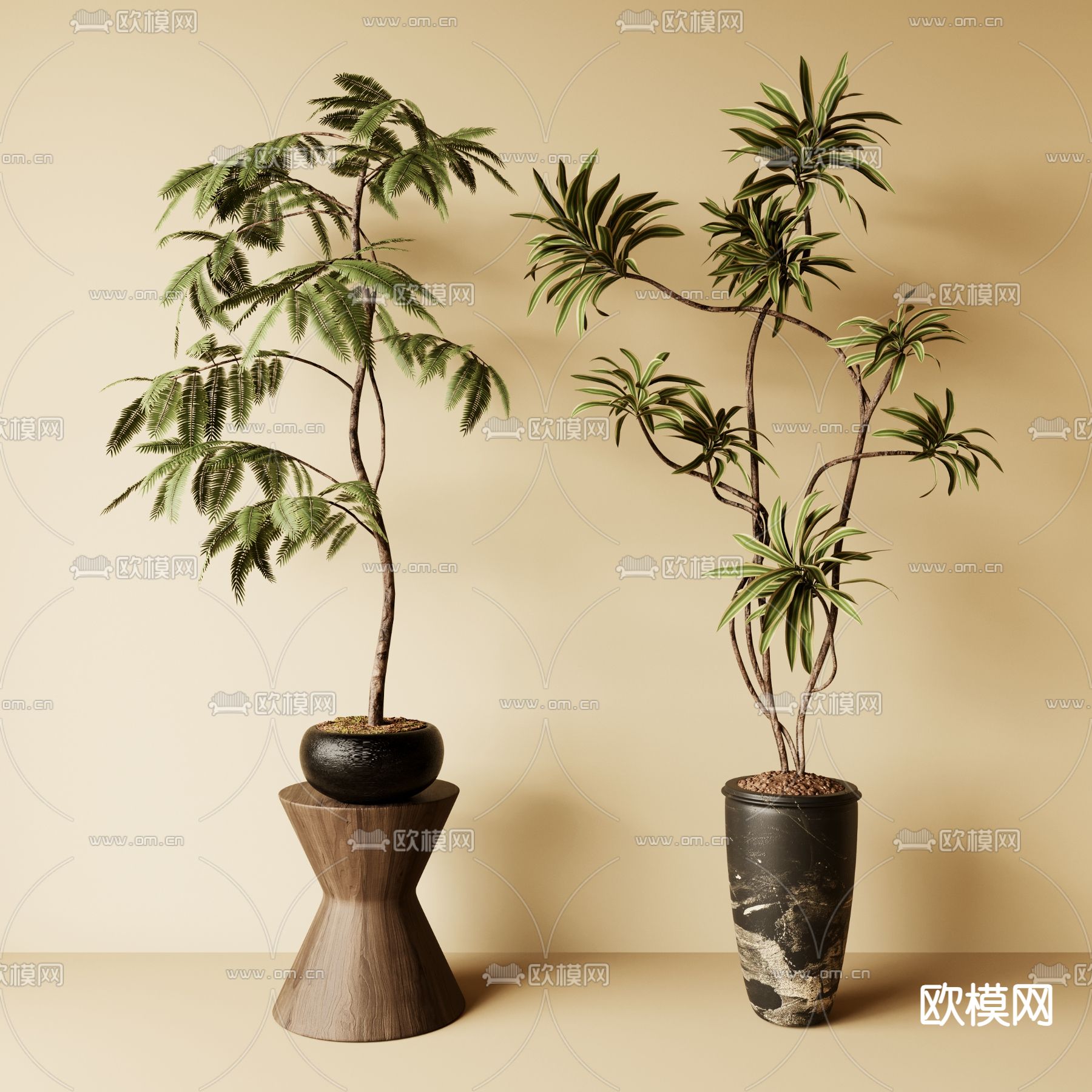 中古风绿植 盆栽su模型下载（渲染图2）