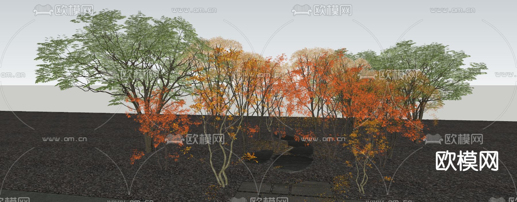 枫叶 秋叶 树木 大树su模型下载（渲染图2）