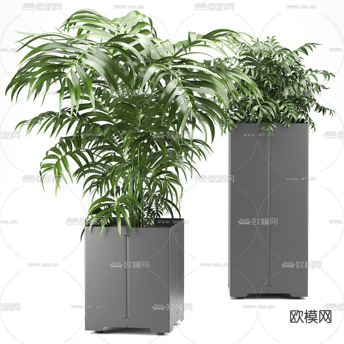 盆栽 盆景 绿植3d模型下载