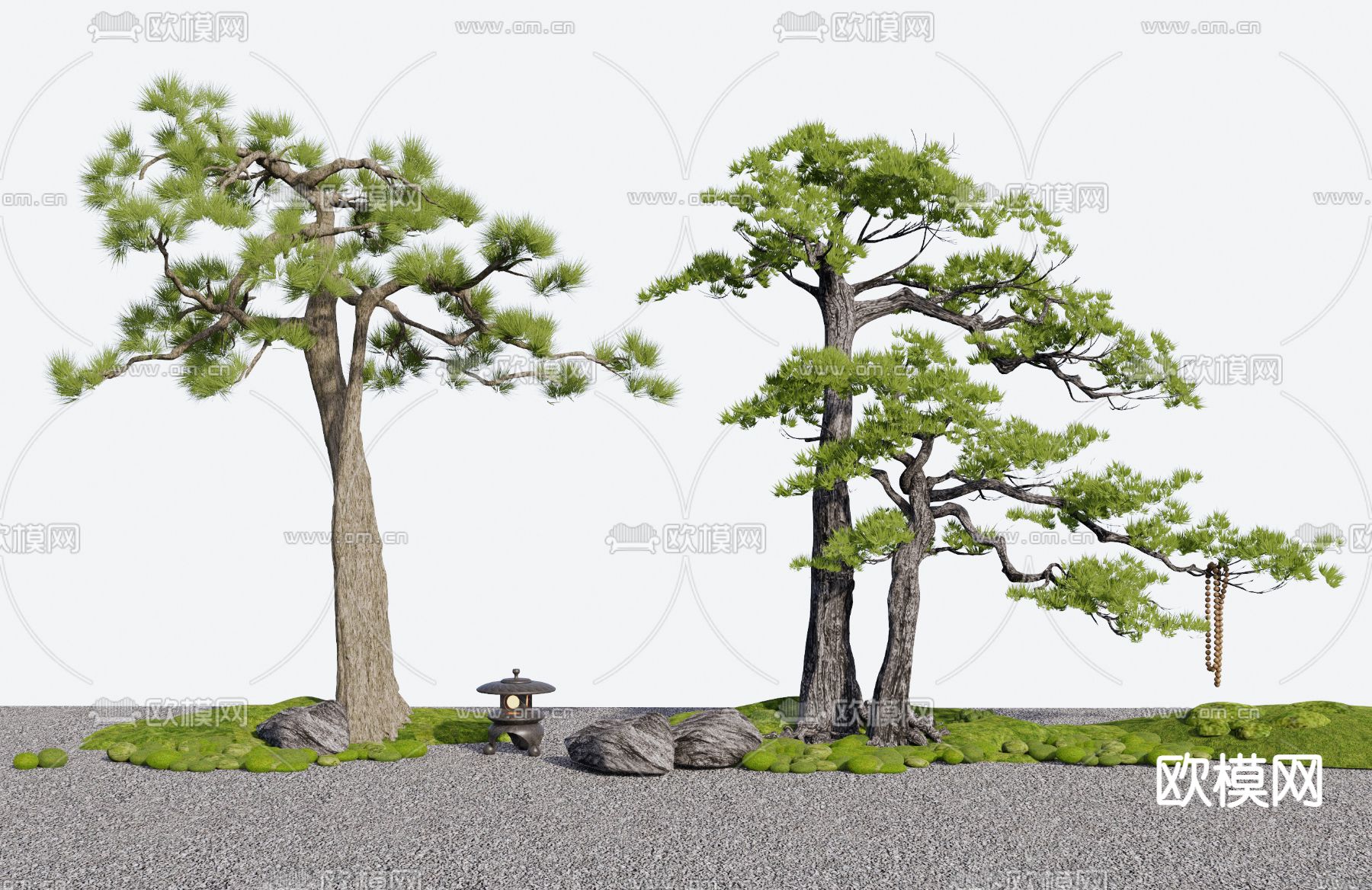 松树 景观树 大树3d模型下载