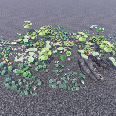  水生植物 荷花 睡莲 荷叶su模型 