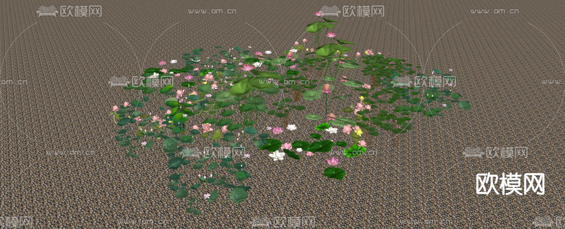 水生植物 荷花 睡莲 荷叶su模型