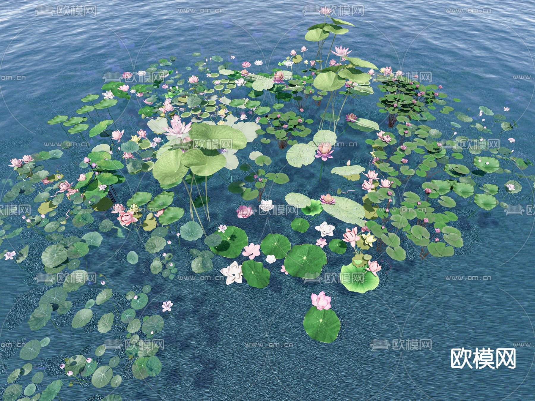 水生植物 荷花 睡莲 荷叶su模型