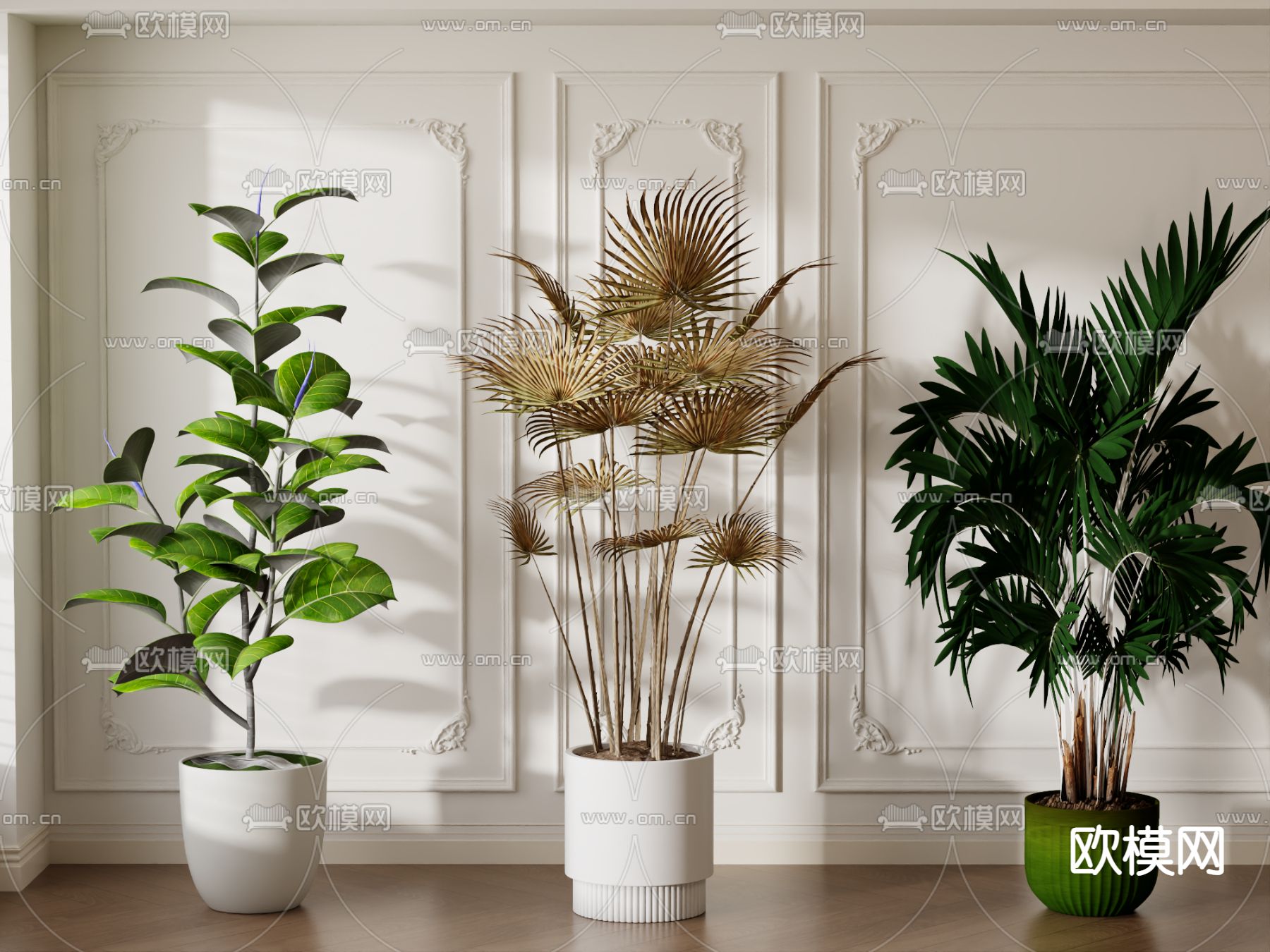 盆栽 盆景 散尾葵3d模型下载