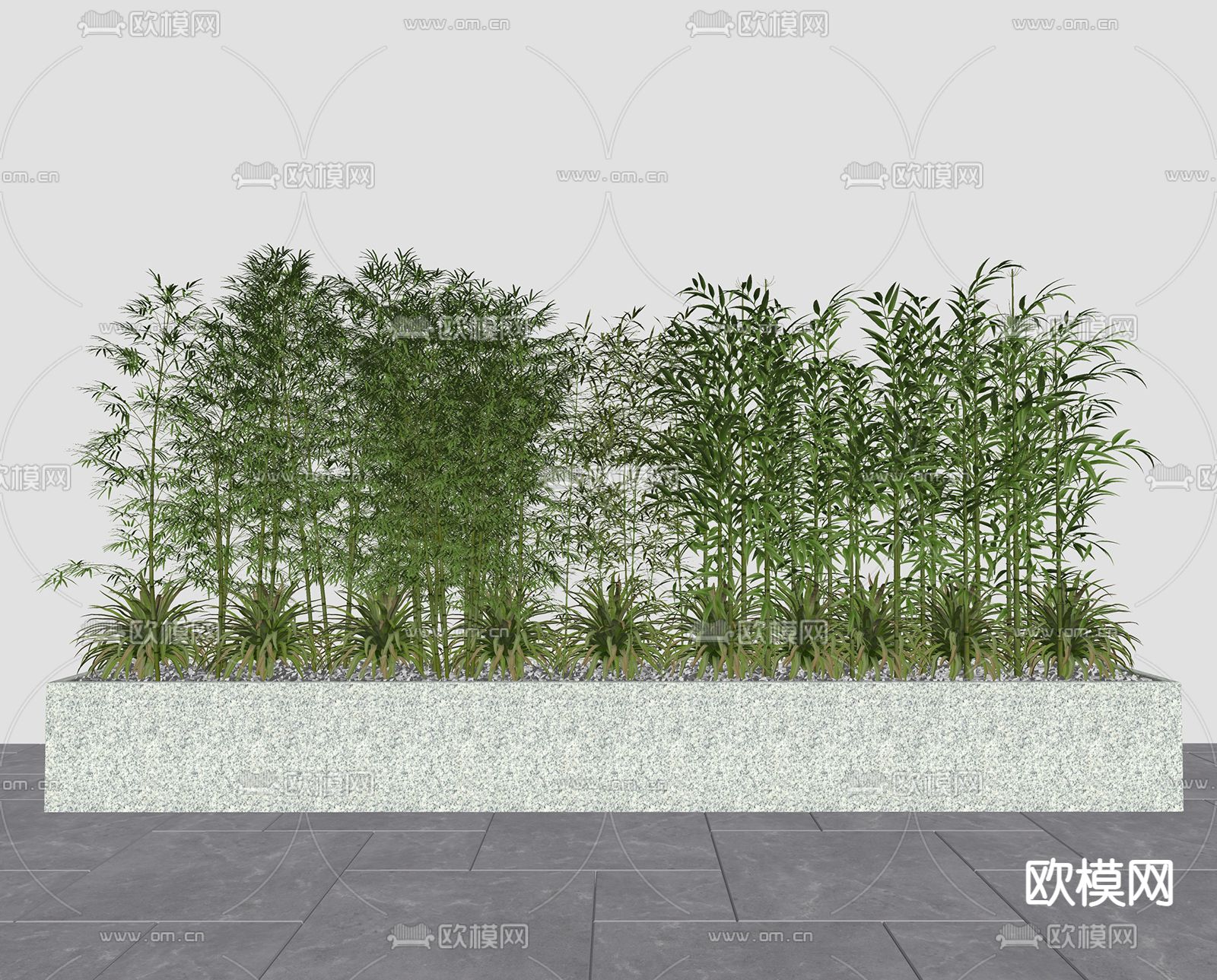 竹子盆栽 盆景su模型下载（渲染图2）