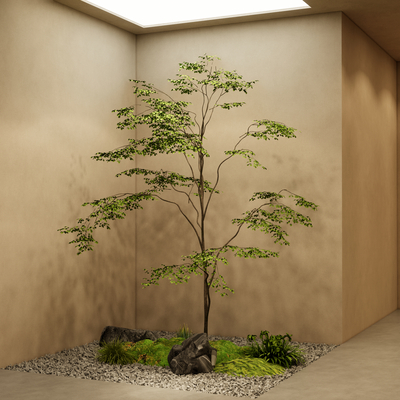  现代庭院景观 庭院小品 绿植造景su模型 