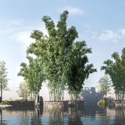  竹子 景观竹 竹丛小品su模型 