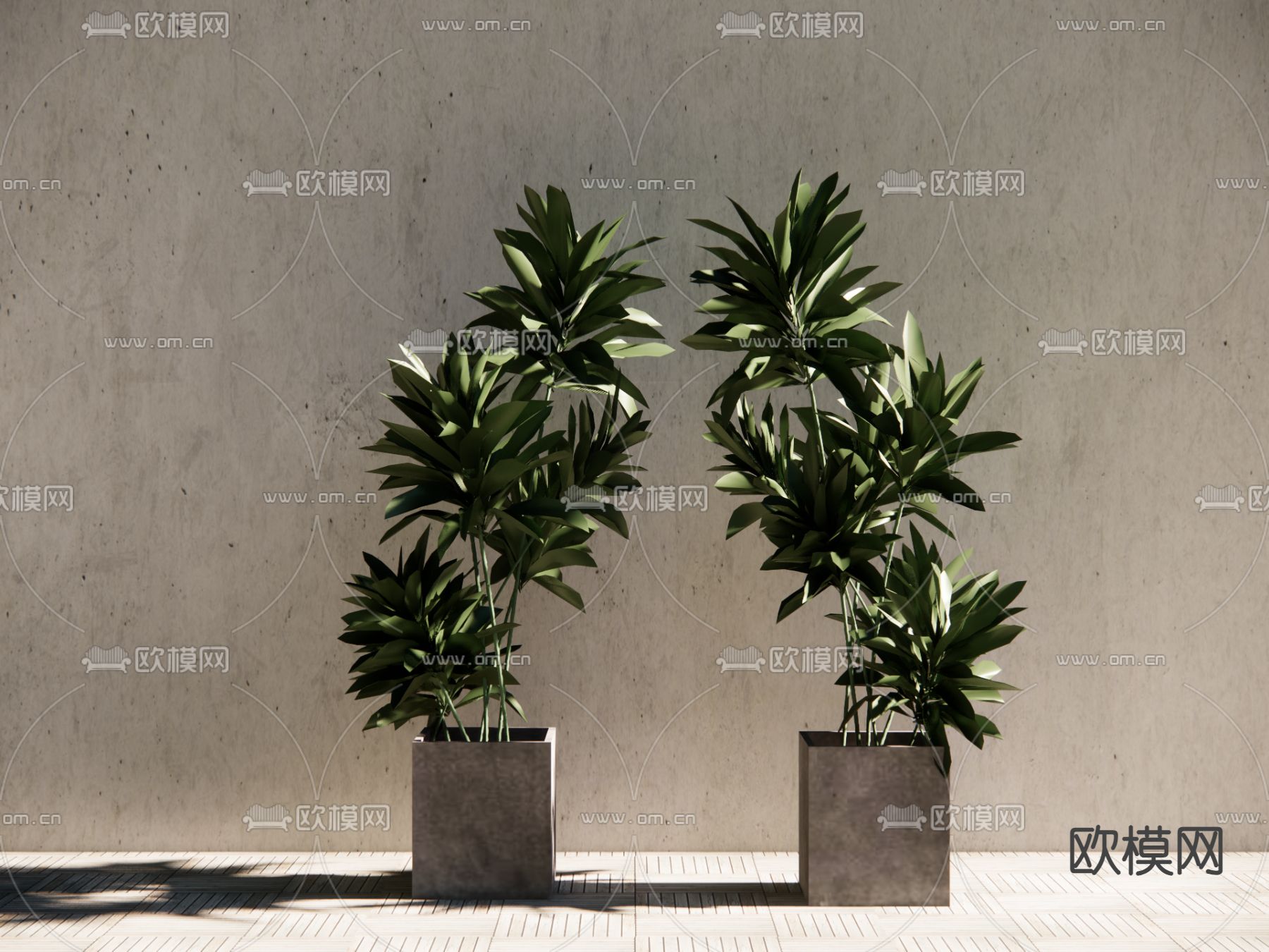 家居盆栽 盆景su模型下载（渲染图1）