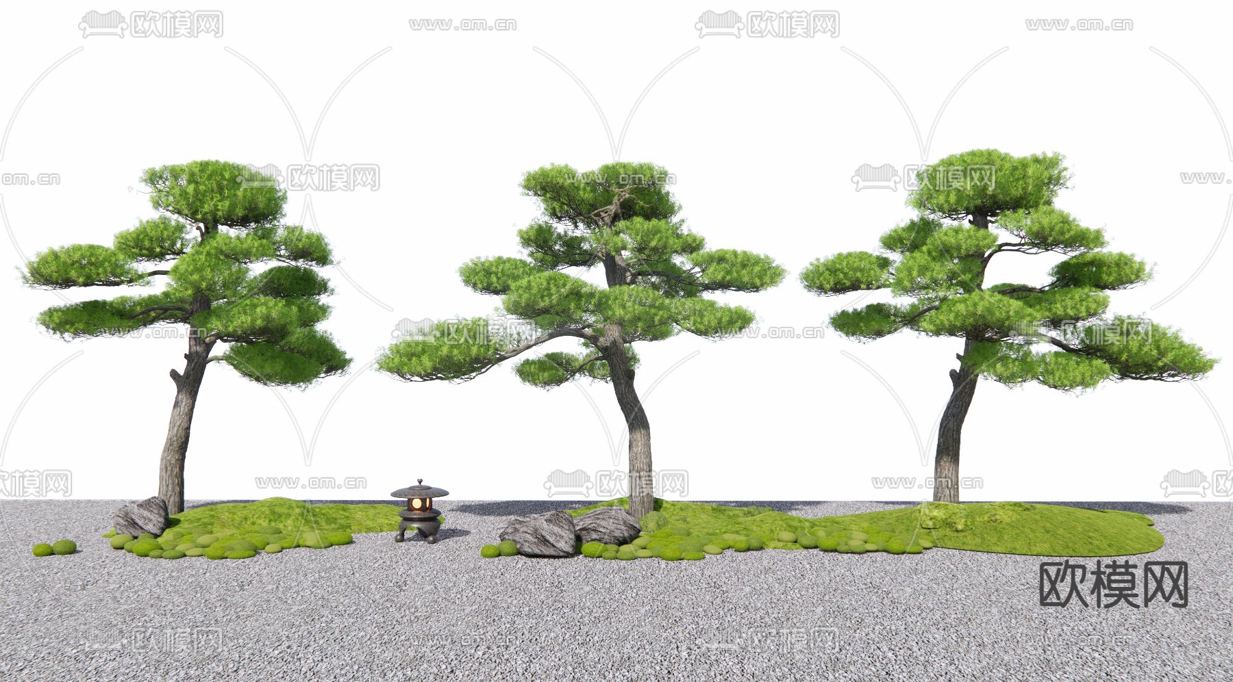 罗汉松 松树 造景树3d模型下载