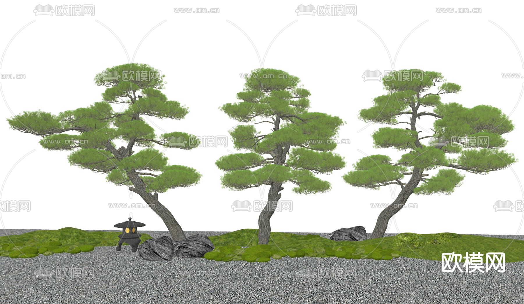 新中式造景松树 罗汉松su模型下载（渲染图1）