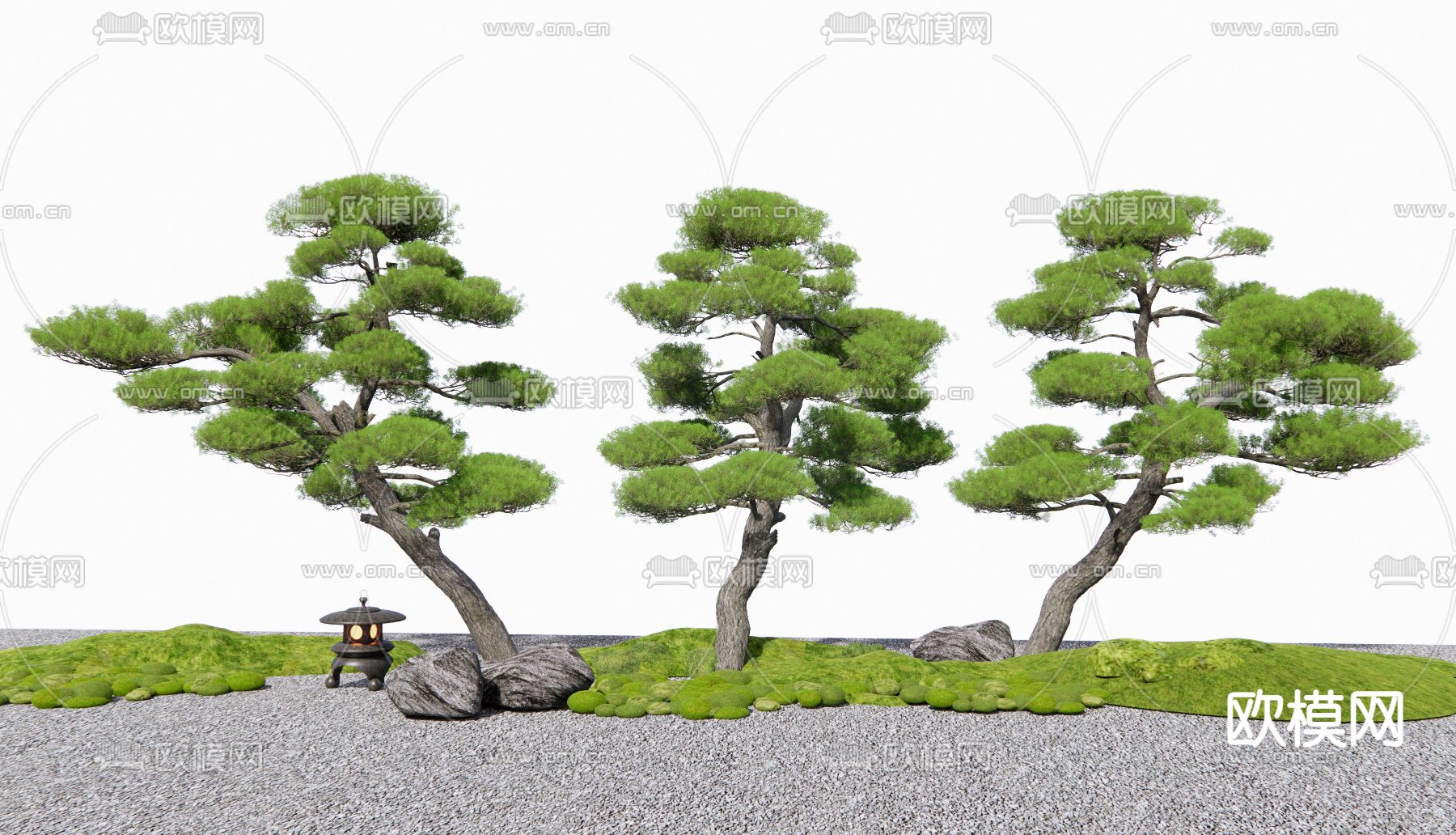 新中式造景松树 罗汉松su模型下载（渲染图2）