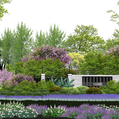  景观树乔木 灌木su模型 