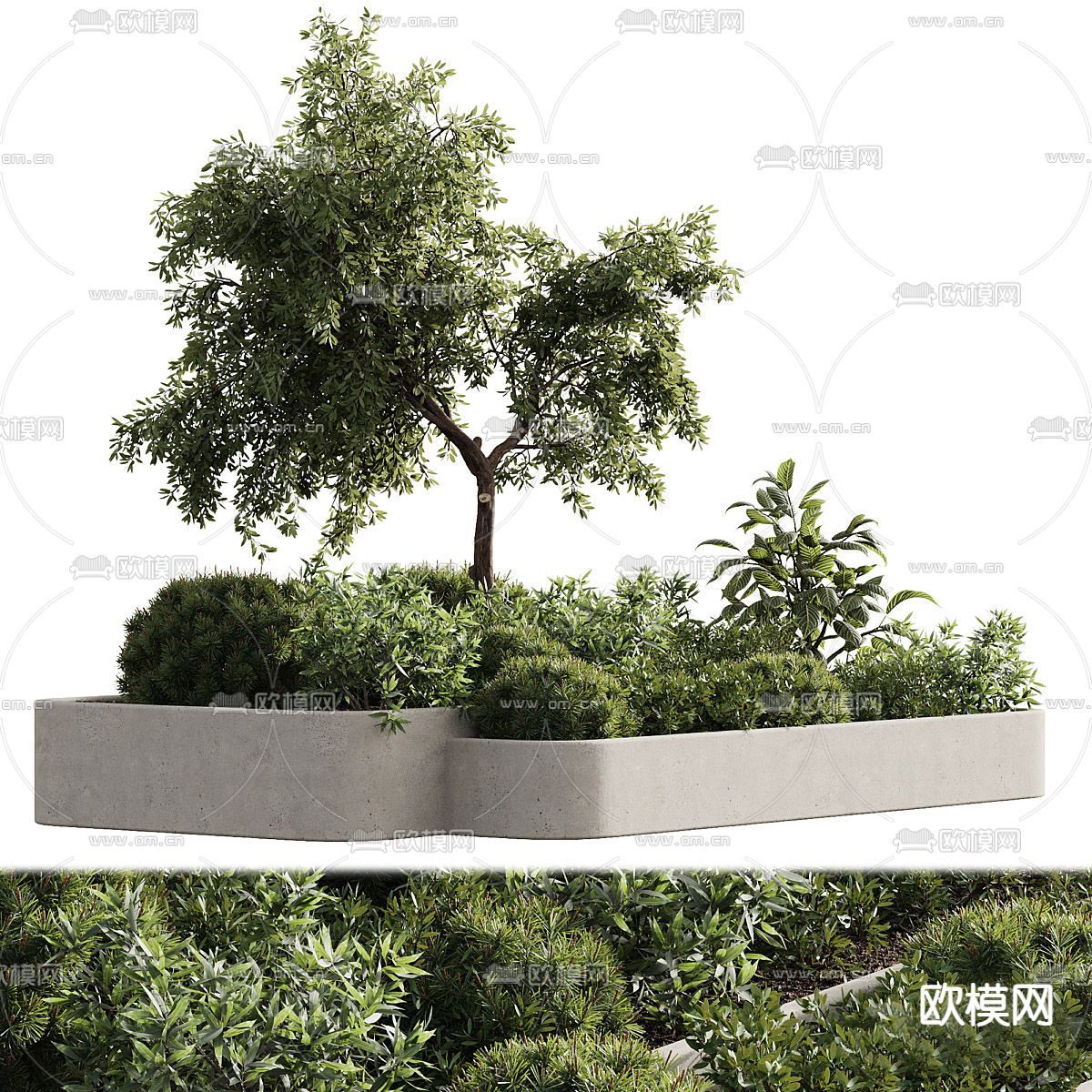 户外花箱 花槽 花坛 植物堆3d模型下载（渲染图2）