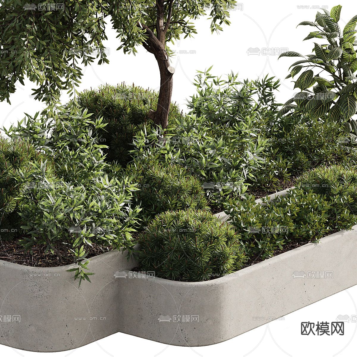 户外花箱 花槽 花坛 植物堆3d模型下载（渲染图3）