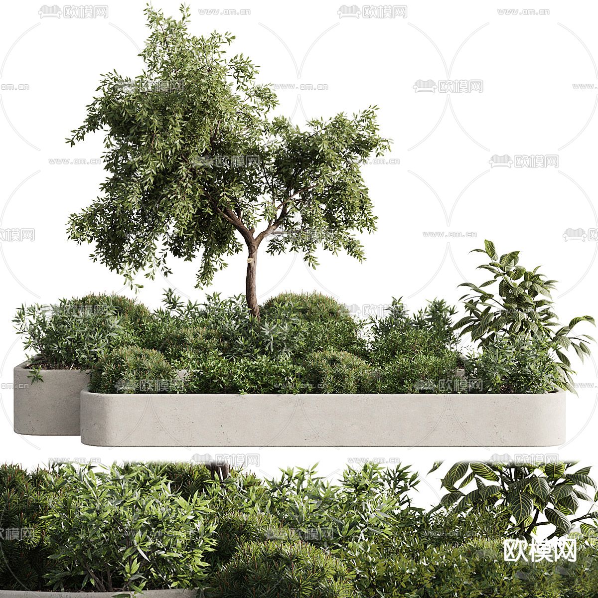 户外花箱 花槽 花坛 植物堆3d模型下载（渲染图1）