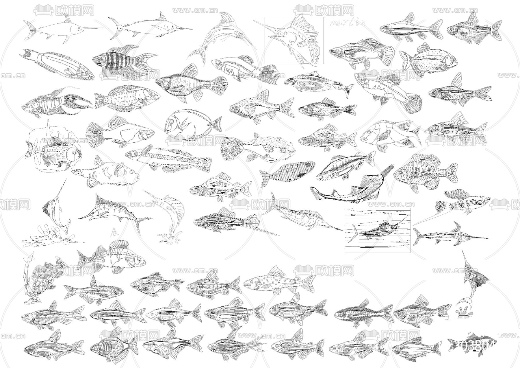 鱼CAD图库下载（渲染图9）