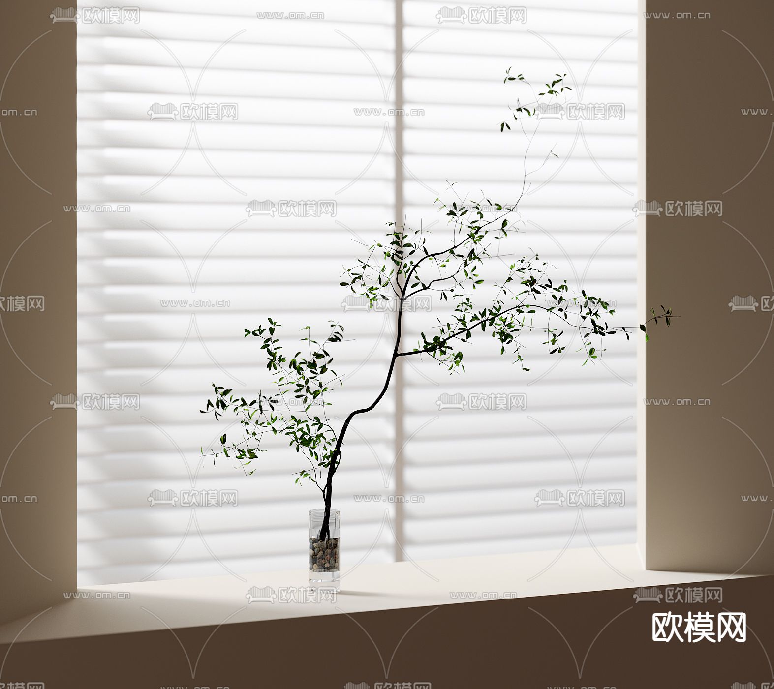 水生植物 水培绿植3d模型下载