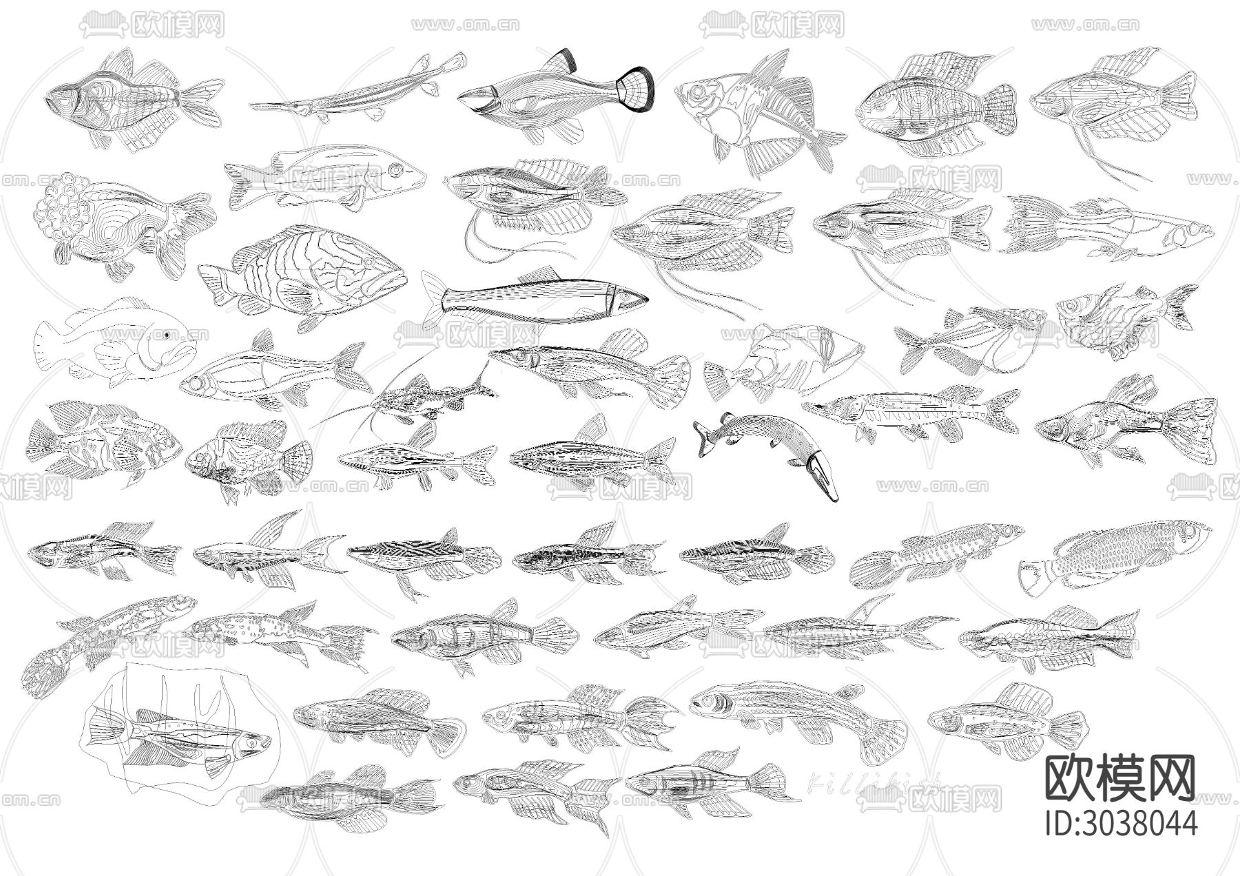 鱼CAD图库下载（渲染图8）