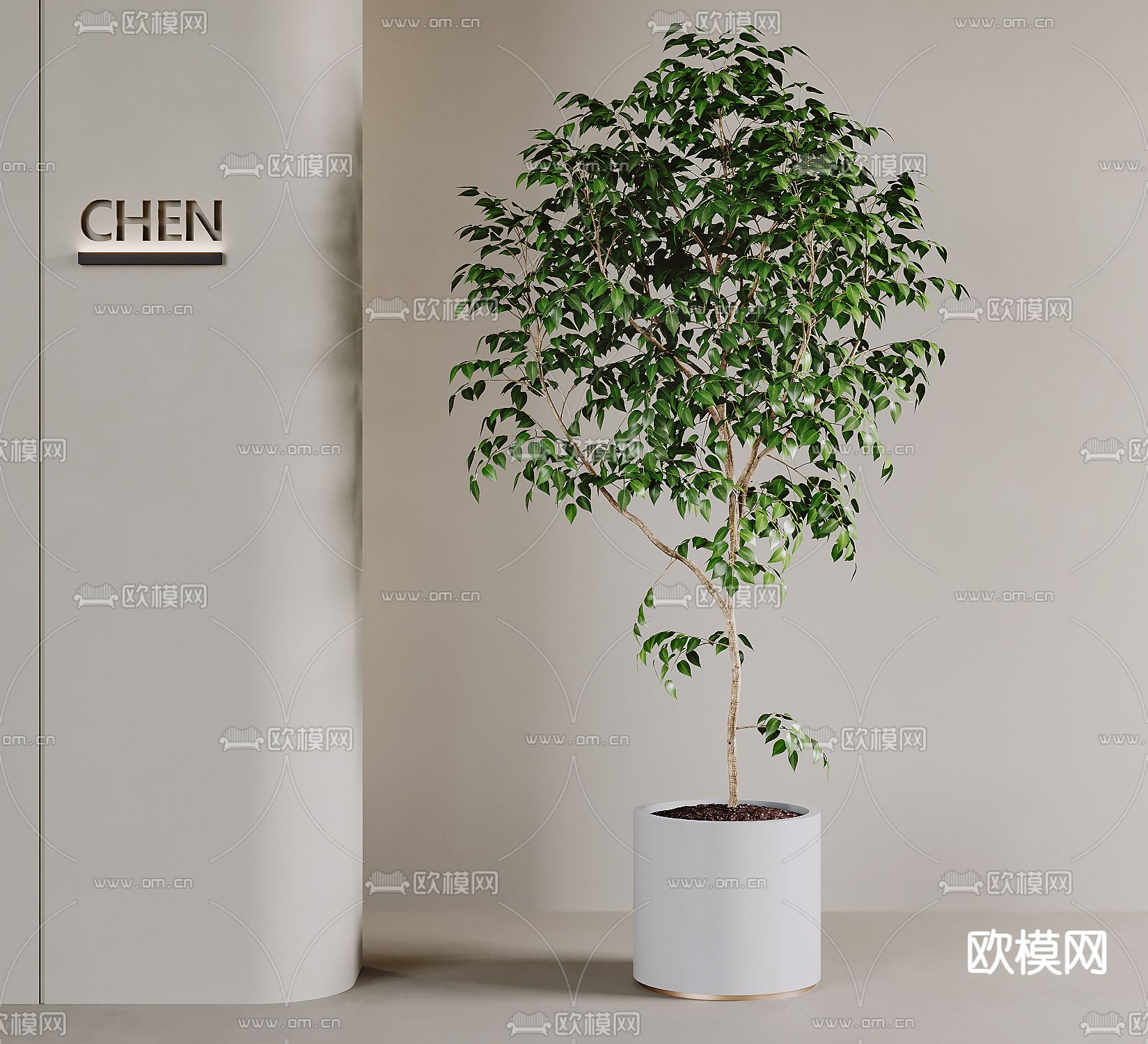 现代绿植 盆栽su模型