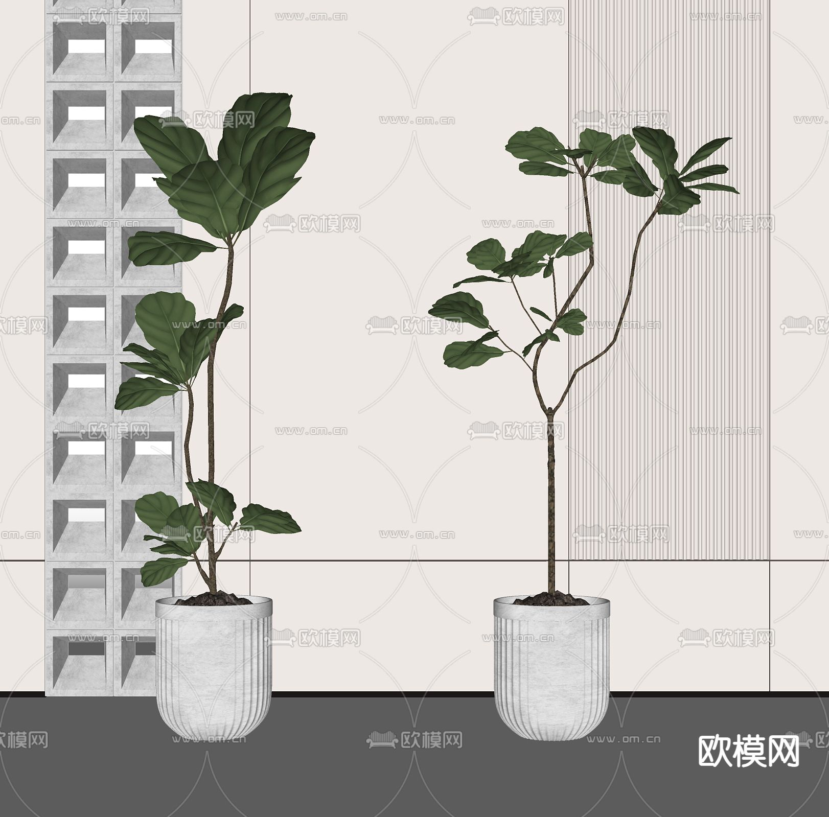 现代琴叶榕 盆景 盆栽su模型下载（渲染图1）