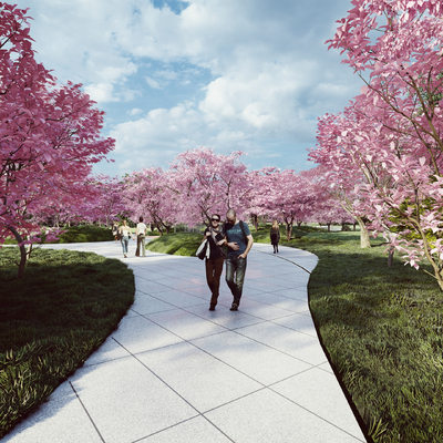  现代樱花树 粉色树su模型 