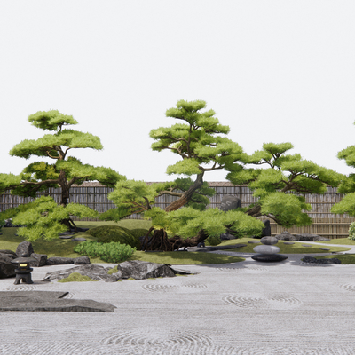  新中式罗汉松 松树 迎客松su模型 