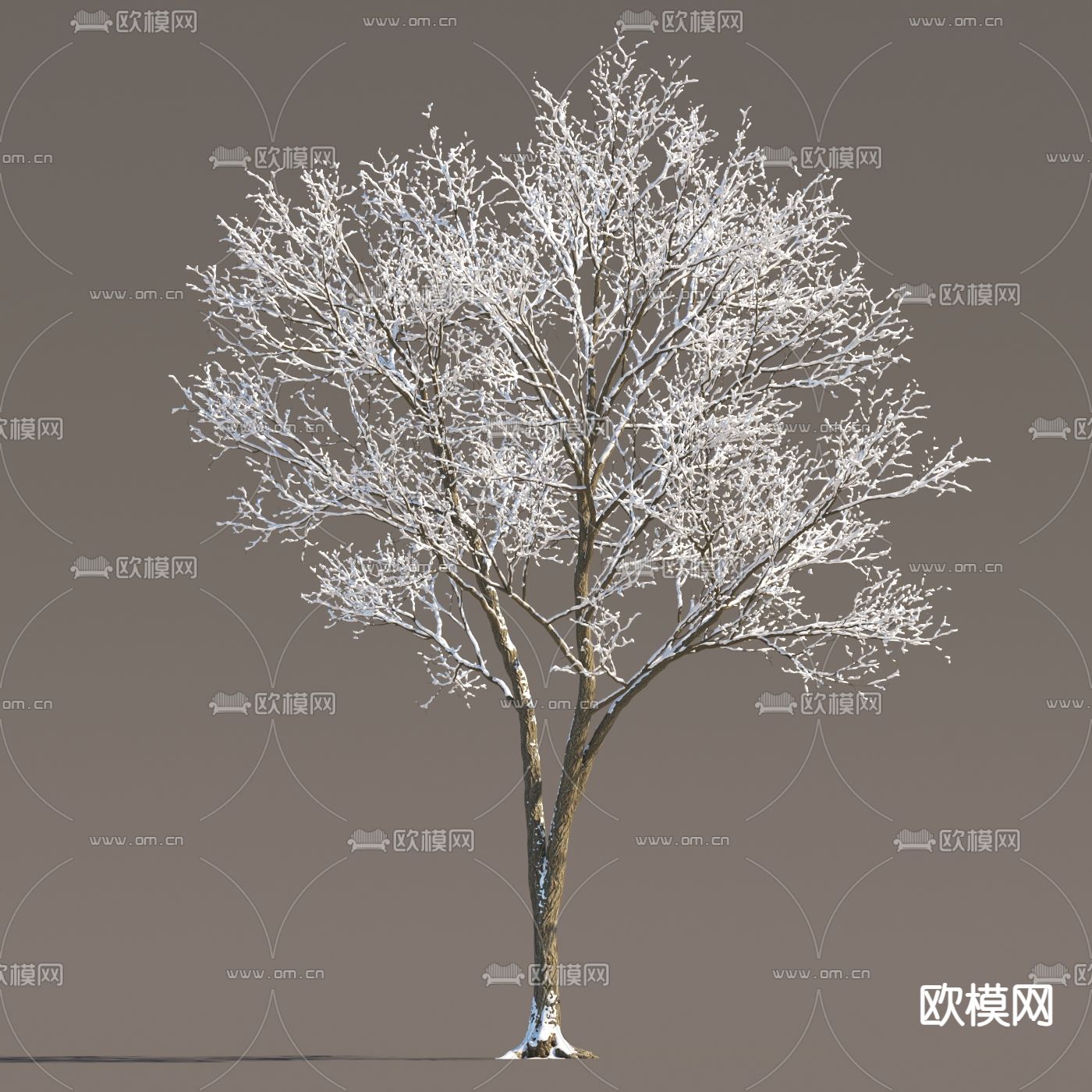 冬季树 冰雪树 冰冻树 雪景树3d模型下载