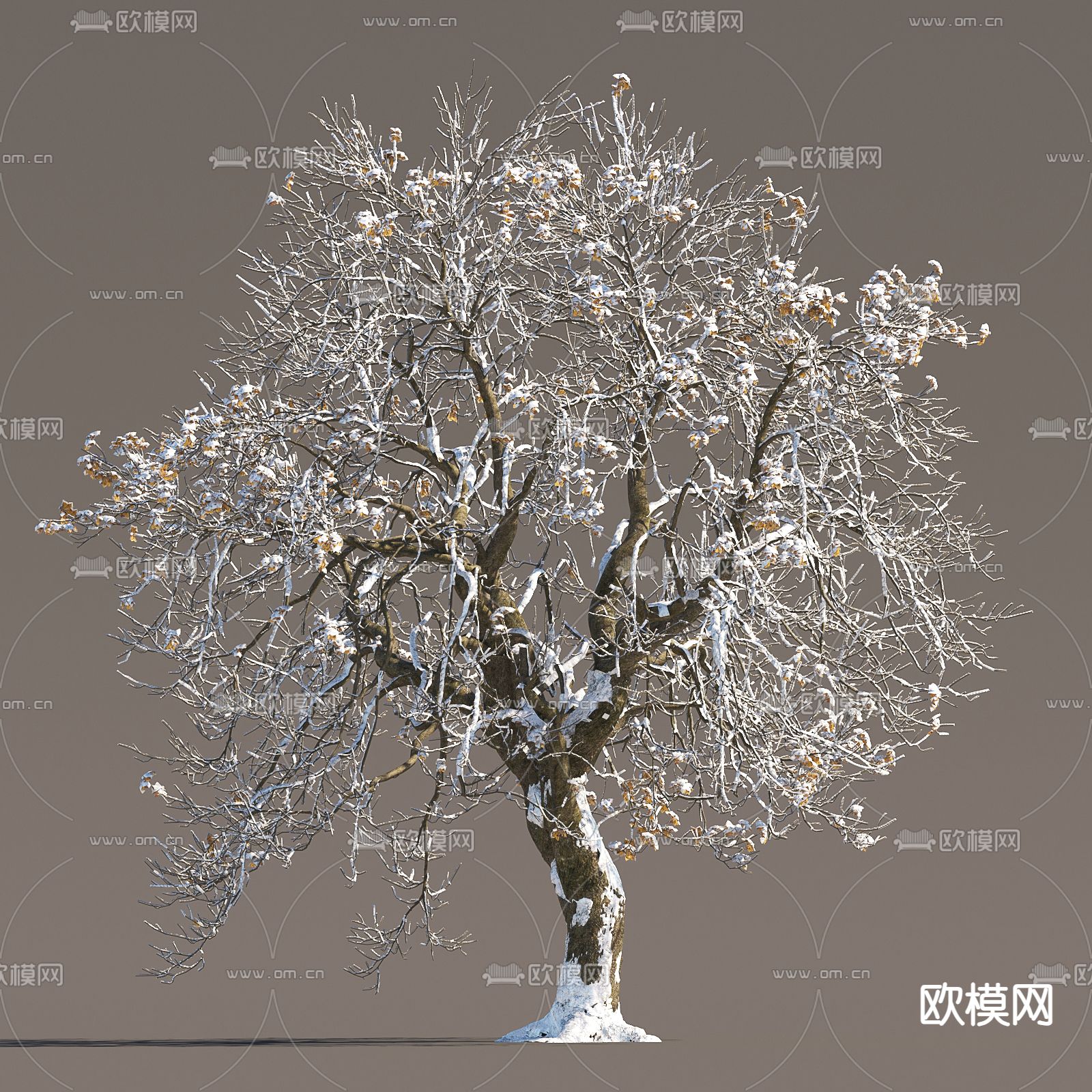 雪景树 冰雪树 积雪树3d模型下载