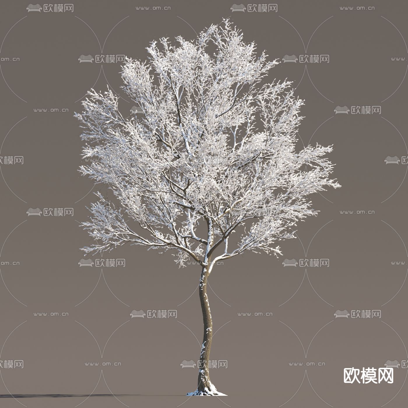 冬季树 冰雪树 冰冻树 雪景树3d模型下载