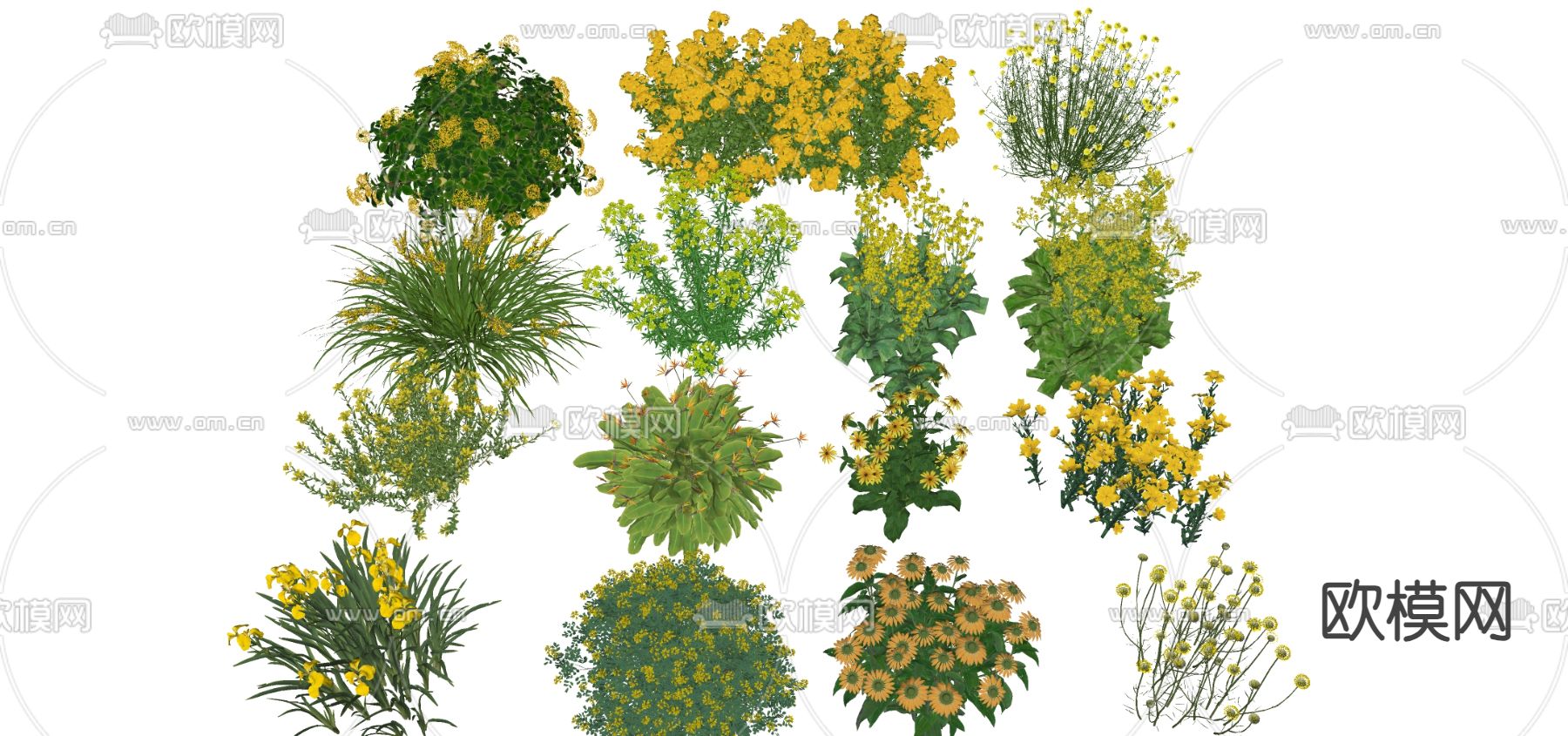 黄色开花地被草花su模型下载（渲染图1）