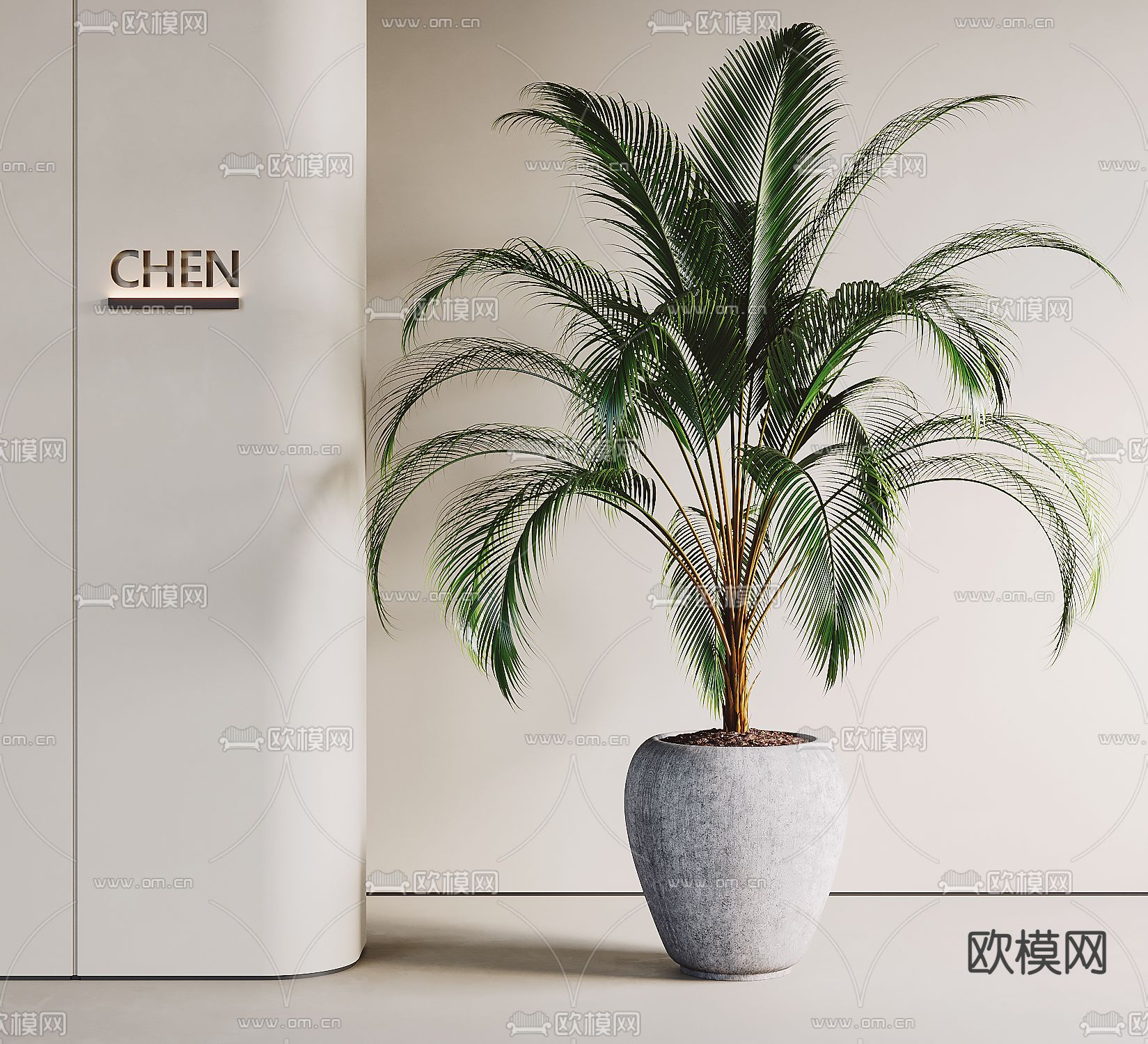 现代植物 盆栽su模型