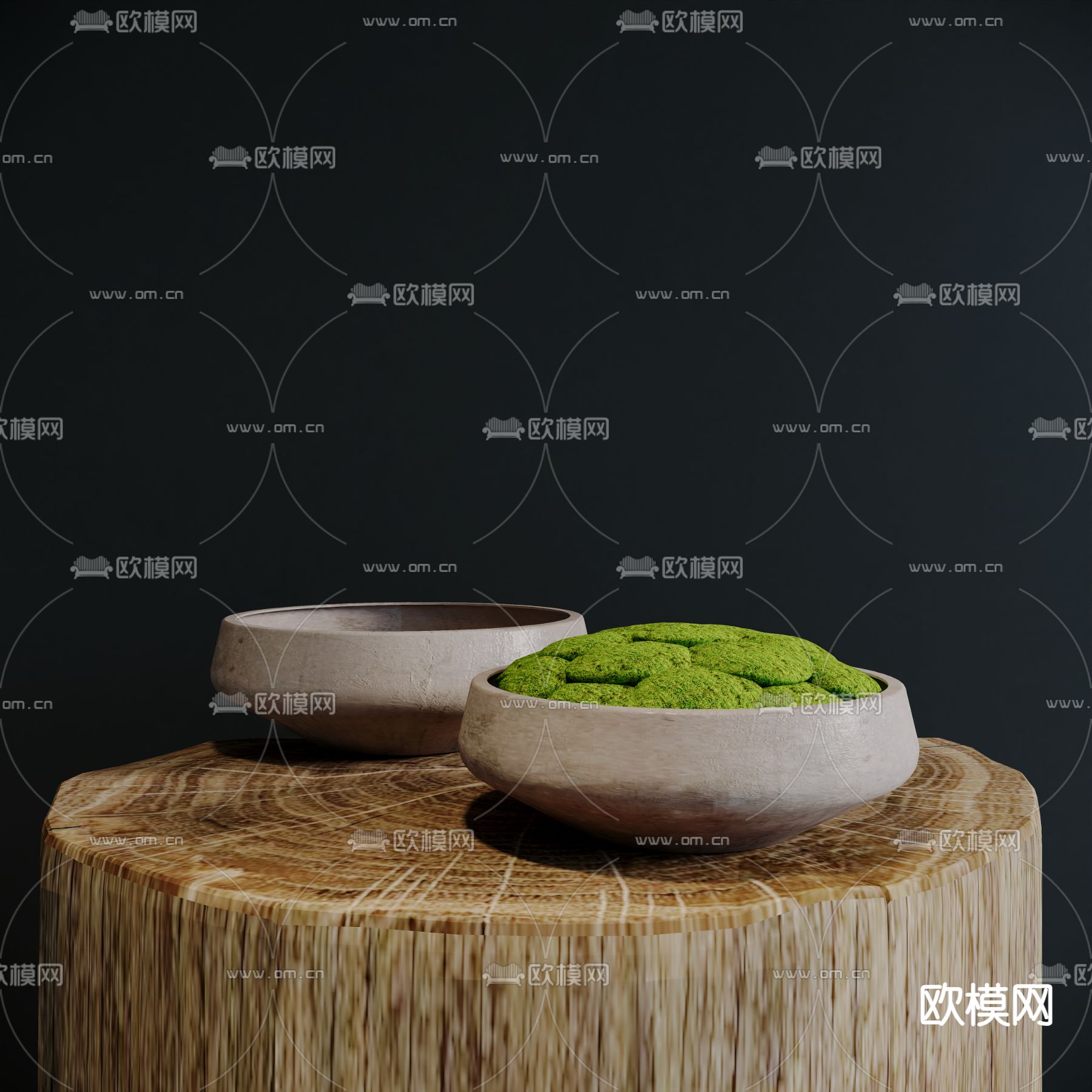 苔藓 盆景su模型下载（渲染图2）