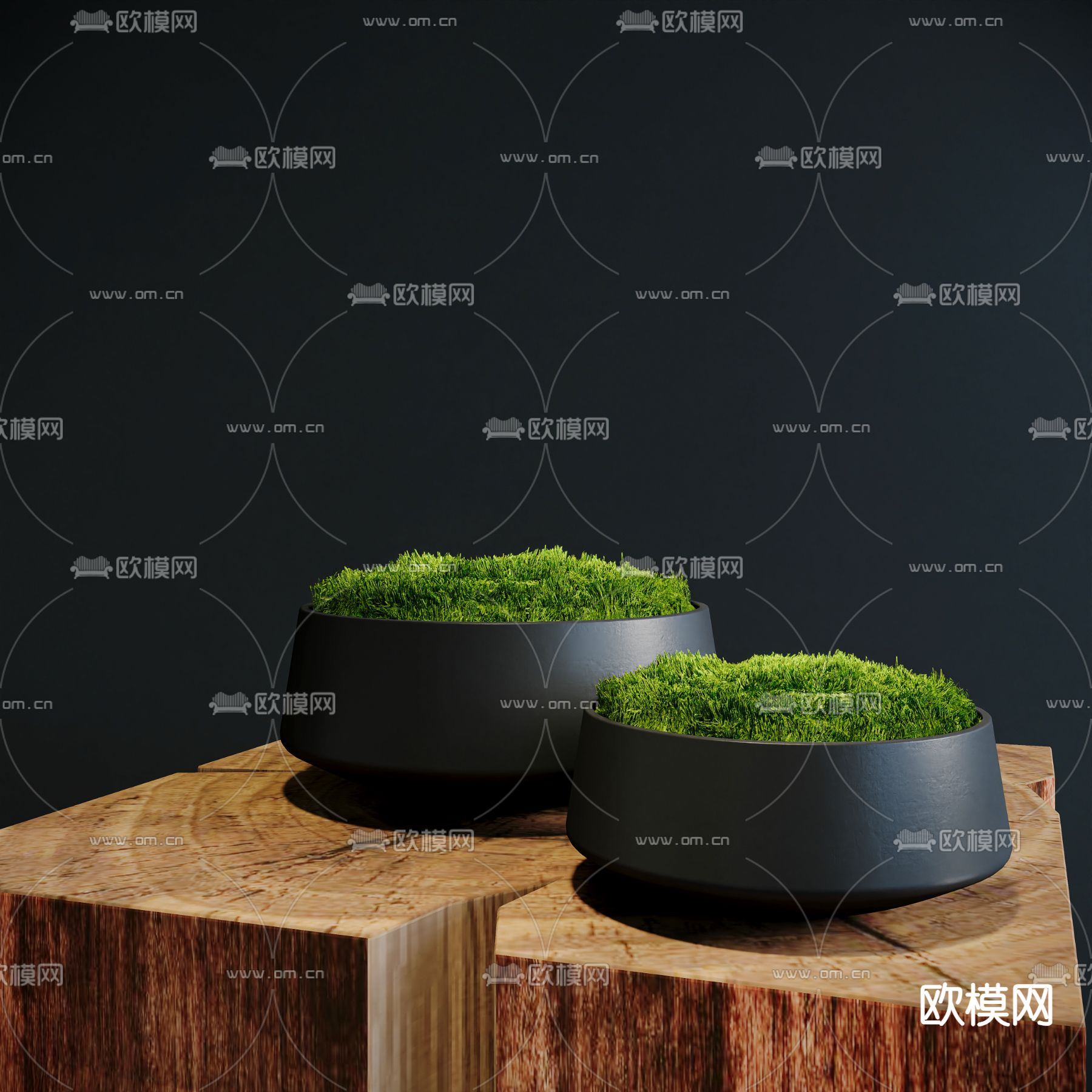 苔藓 盆景su模型下载（渲染图2）