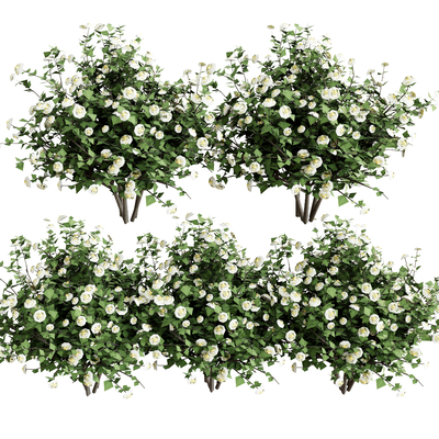  花草 花卉su模型 