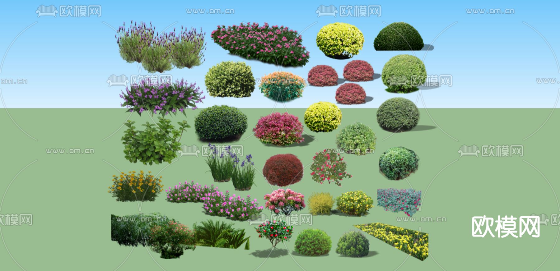 灌木丛 花草su模型下载（渲染图1）