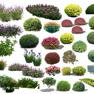  灌木丛 花草su模型 