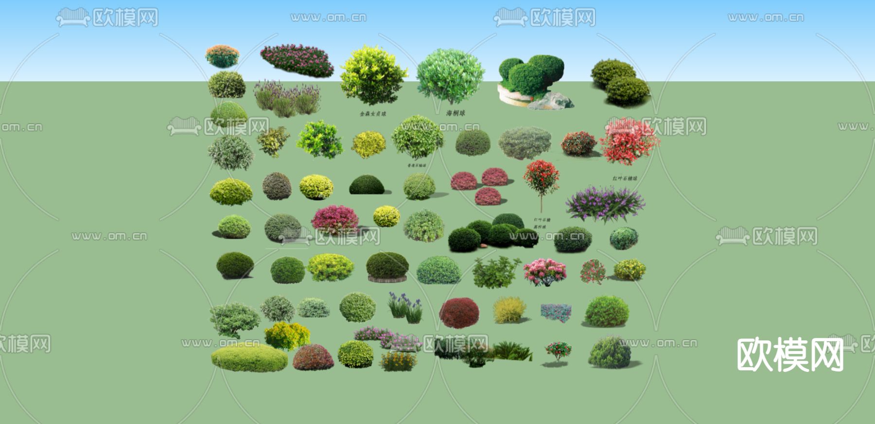 灌木 草丛 鲜花 花草su模型下载（渲染图2）