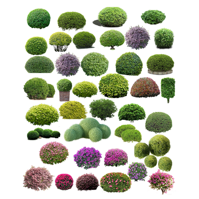  灌木 草丛 鲜花 花槽su模型 