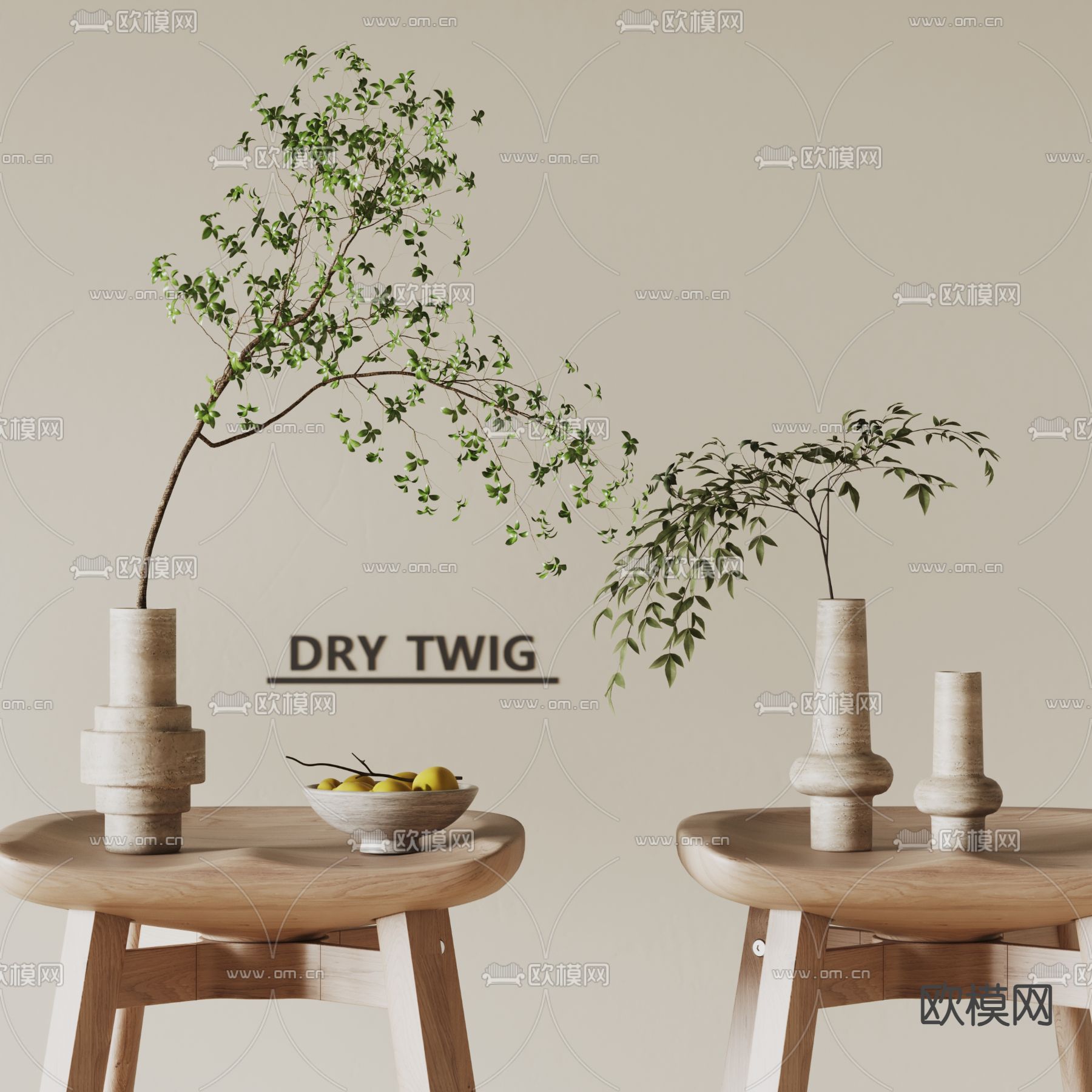 侘寂花瓶 水生植物 水培绿植3d模型下载