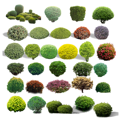  灌木 草丛 鲜花 花槽su模型 