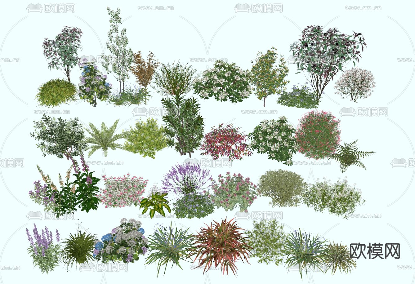 花卉灌木 灌木球 花带 球形绿植su模型下载（渲染图2）