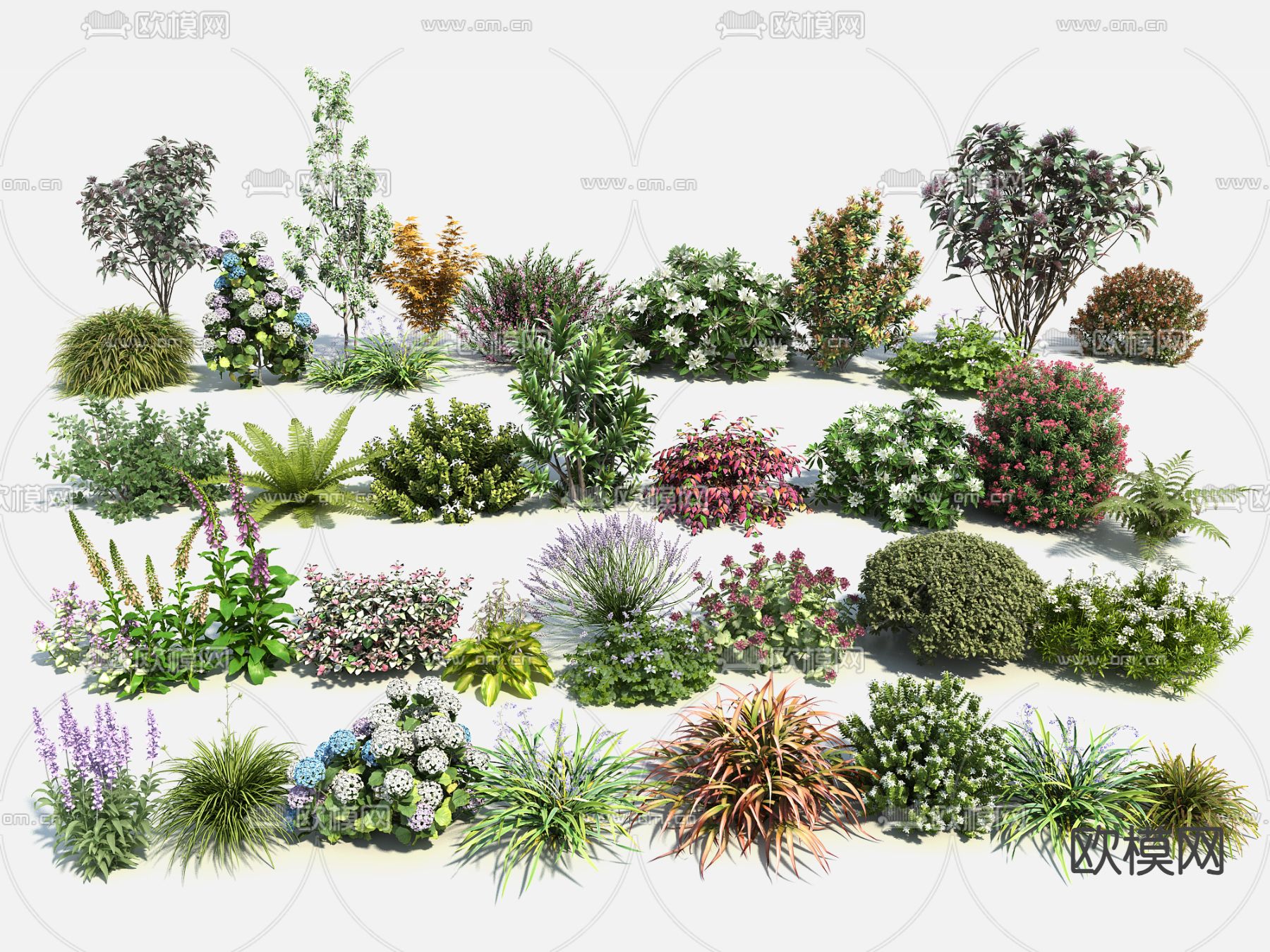 花卉灌木 灌木球 花带 球形绿植su模型下载（渲染图1）