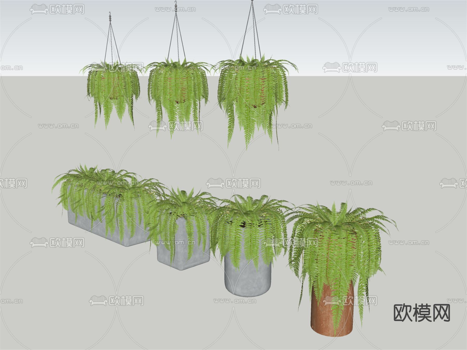 现代垂吊植物su模型下载（渲染图1）