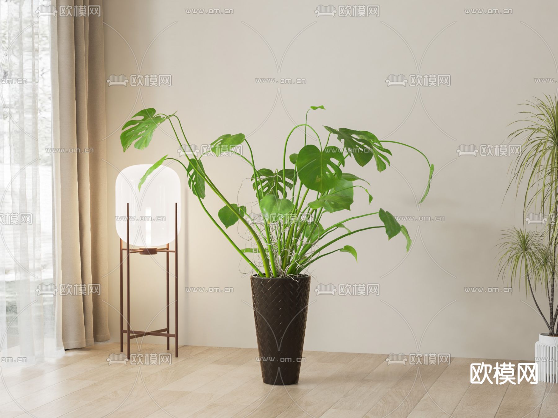 绿植盆栽 盆景su模型下载（渲染图1）