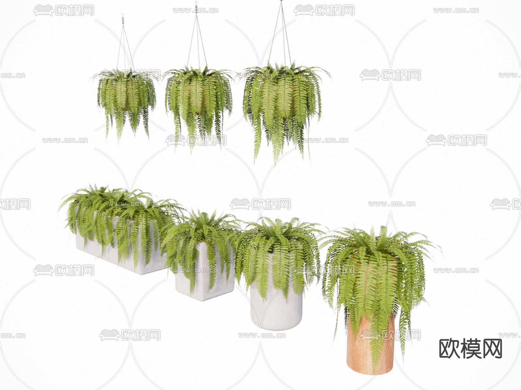 现代垂吊植物su模型下载（渲染图2）