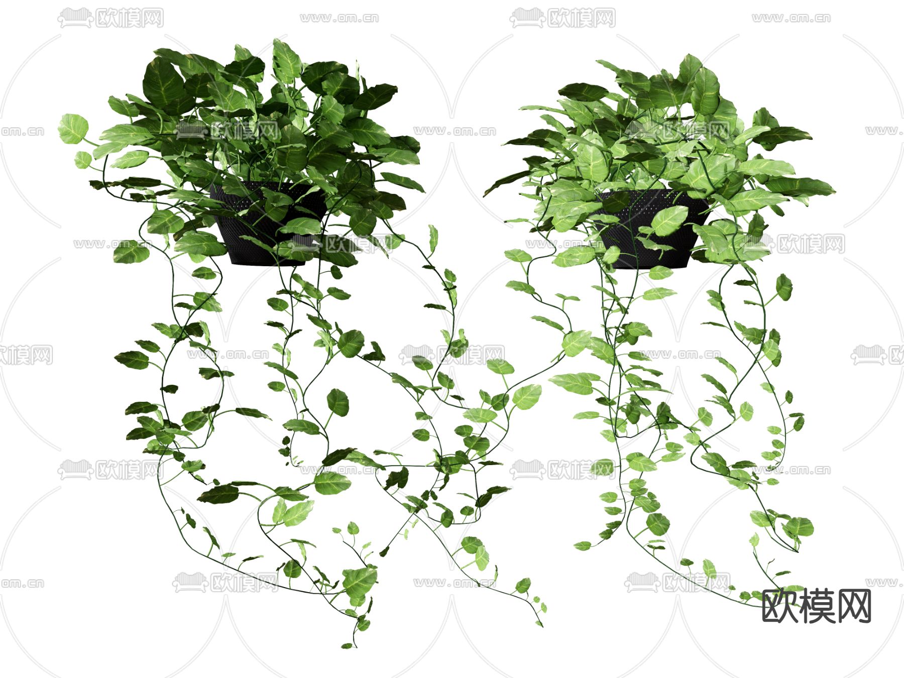 盆栽吊篮su模型下载（渲染图2）