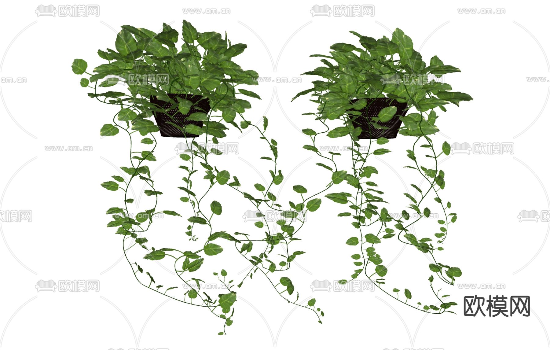 盆栽吊篮su模型下载（渲染图1）